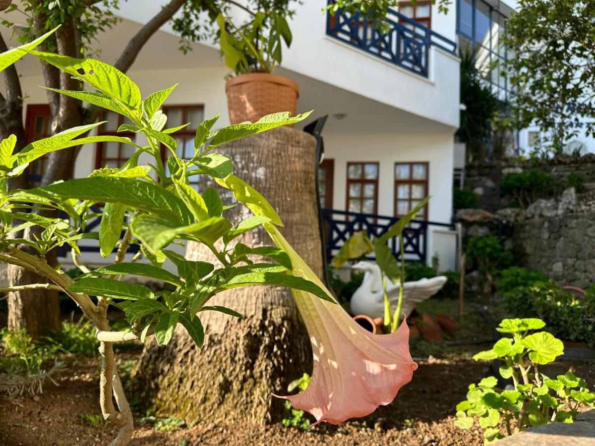 Naturella Apart Hotel Kemer Extérieur photo